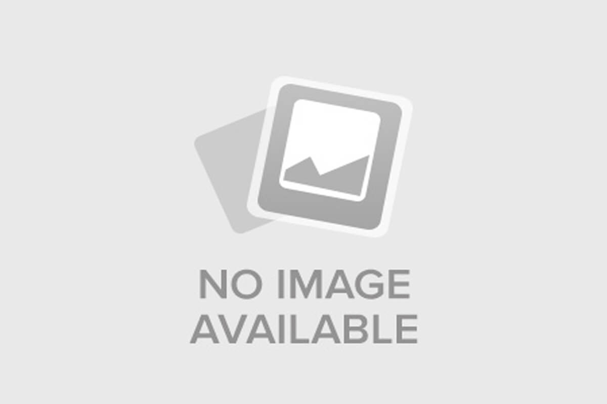 Линия пальмы